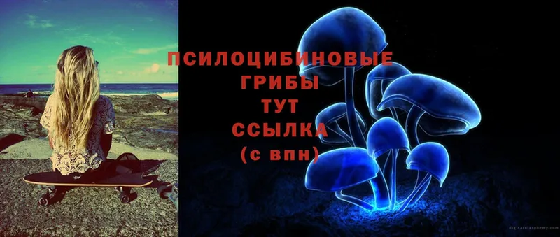 Галлюциногенные грибы Magic Shrooms  наркошоп  Кунгур 