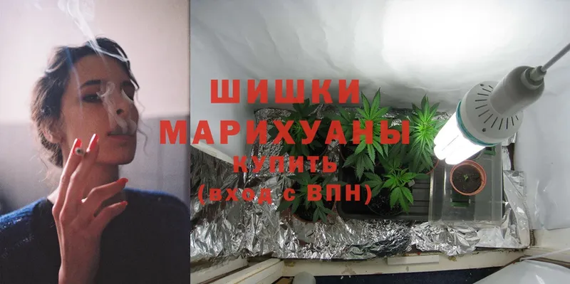 где купить наркоту  OMG ссылки  Каннабис OG Kush  Кунгур 